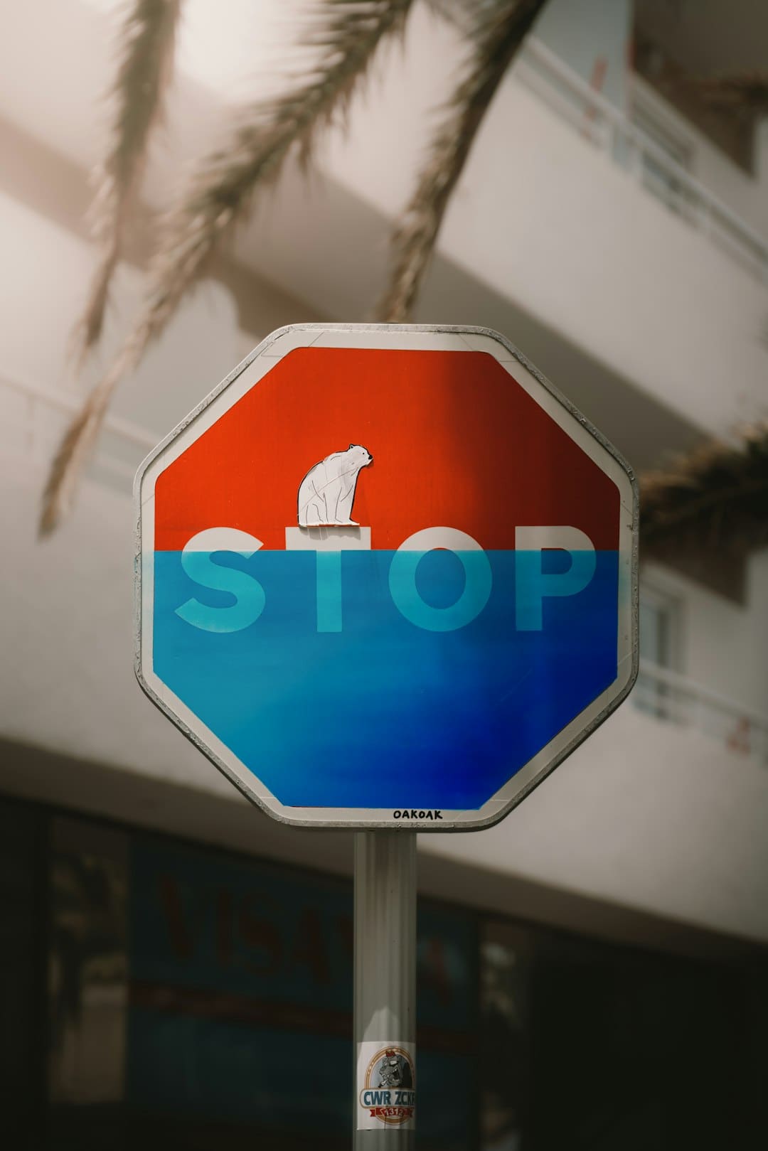 当机器人成为“店小二”